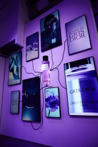 Gris Dior Exhibit