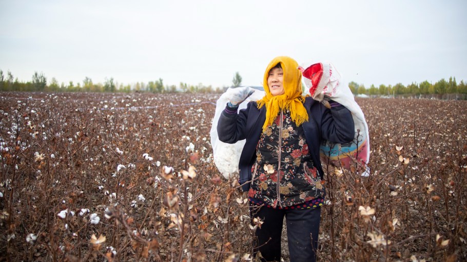 Better Cotton's New Regulations Protect Farmers, Labor and Business