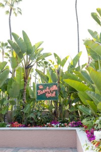 A look at the Dior Beverly Hills Hotel pool pop-up.
