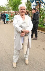 Dame Judy Dench