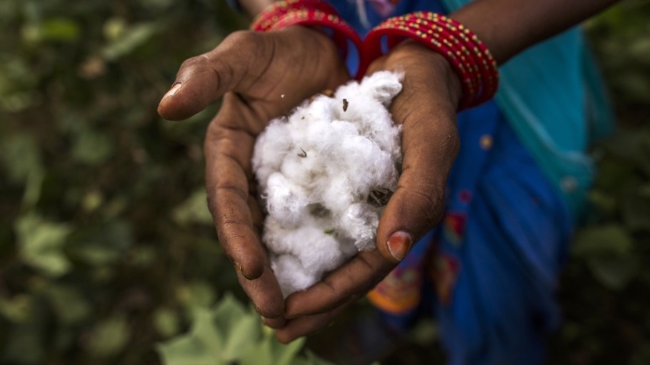 Cotton in India