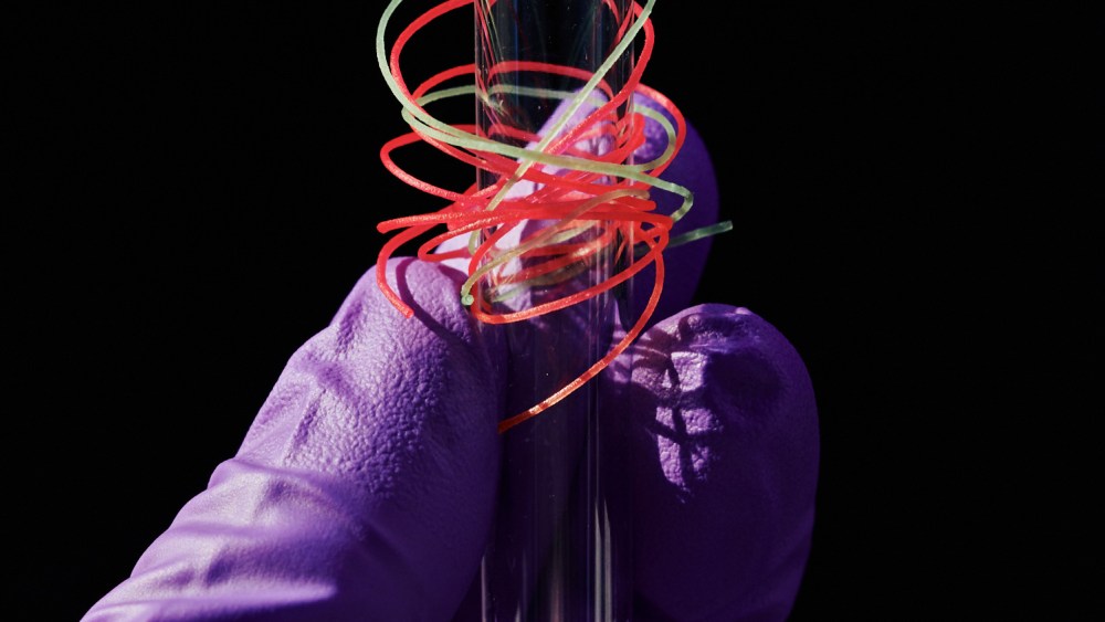 Werewool lab grown fibers