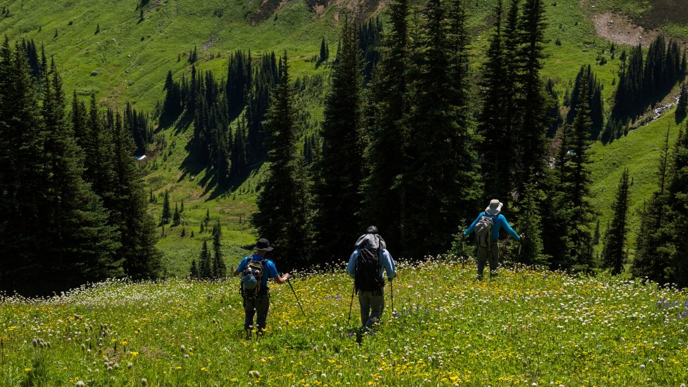 Wellness programming continues to trend ahead of summer.