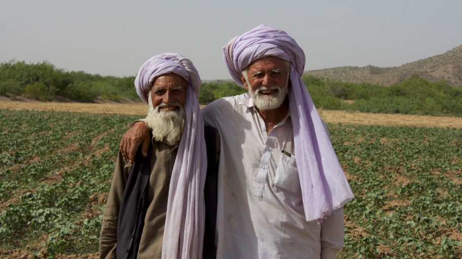 Artistic Fabric Mills is helping 1,500 small farmers learn organic farming.