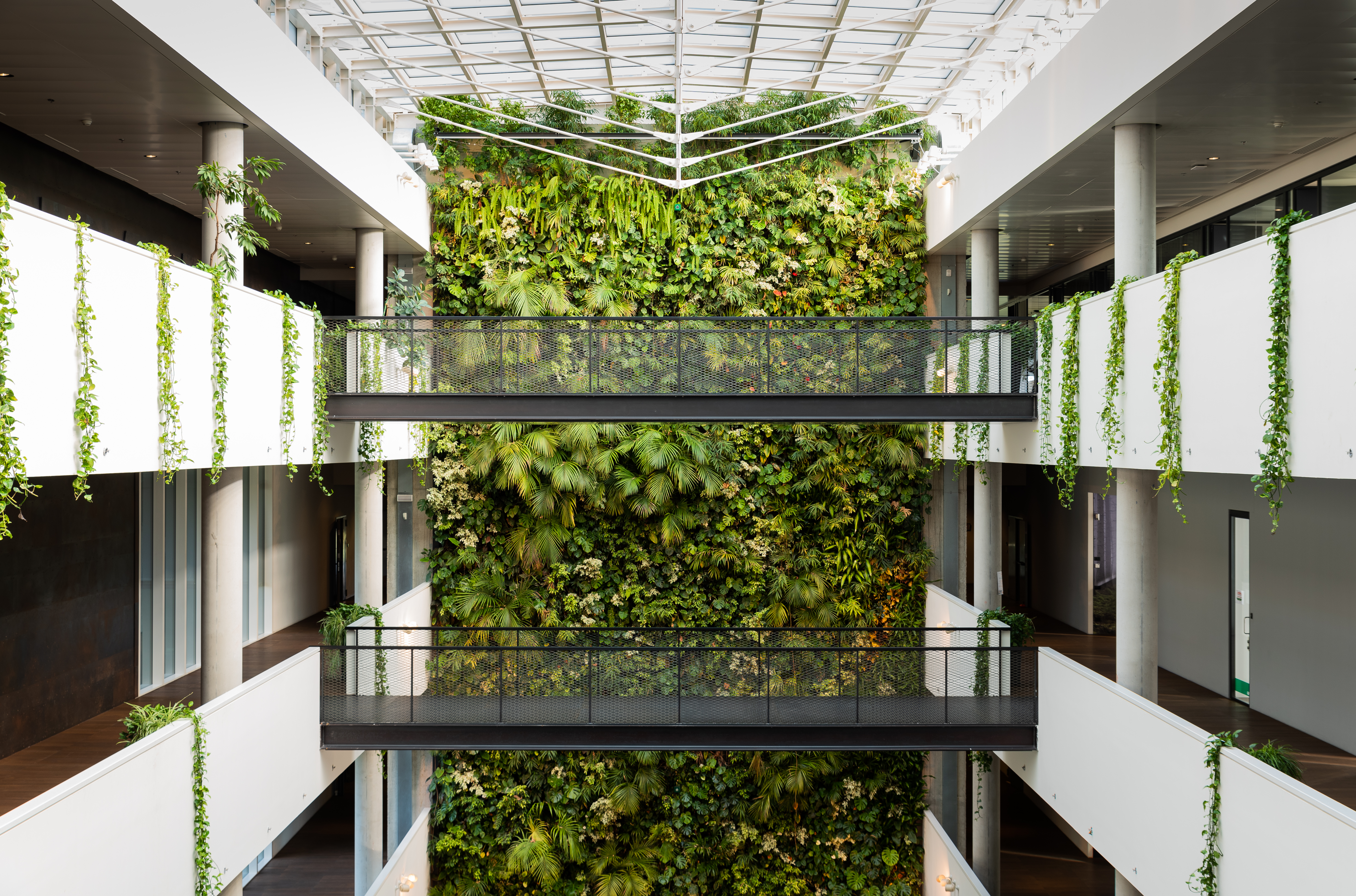 A glass walkway with lush green backdrop showcasing OTB Group's airy headquarters.