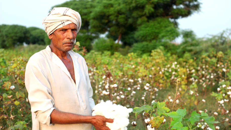 CottonConnect is teaching farmers across the Indian subcontinent how to grow sustainable cotton.
