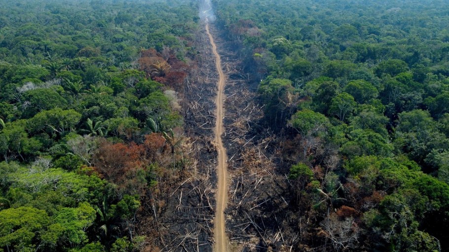 Deforestation