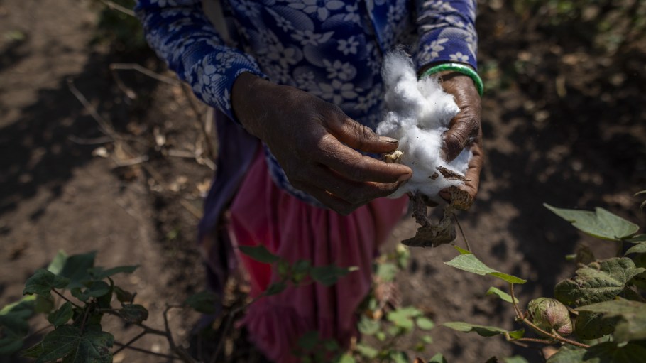 Turkmenistan cotton is banned by 140 global brands and retailers.