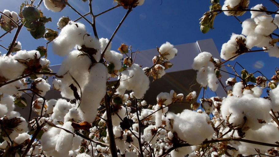 Better Cotton supports more than two million farmers globally.