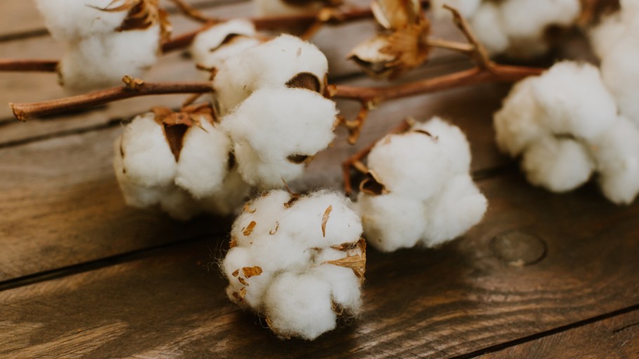 Better Cotton signs the UNECE Sustainability Pledge.