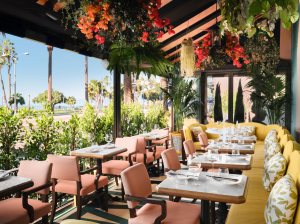 The Sunset Terrace