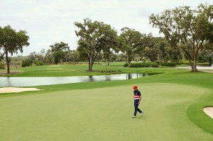 Ryder Cup Campaign Imagery