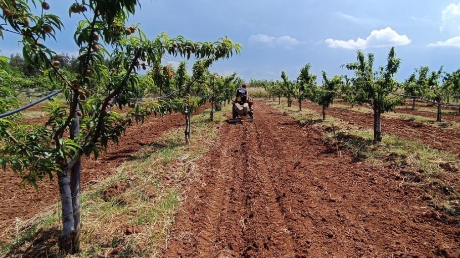 The Armani Group Apulia Regenerative Cotton Project