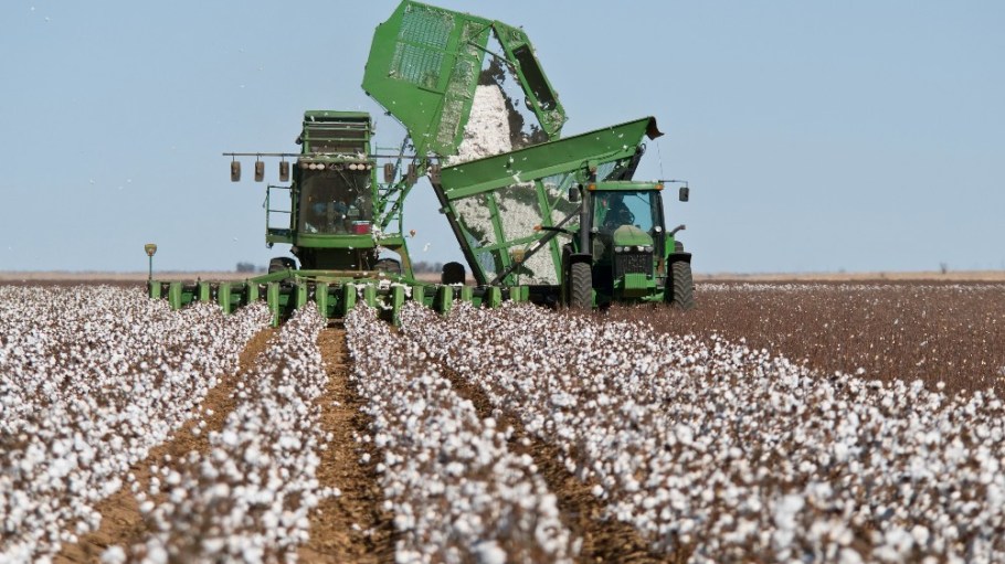 Last year, Gildan sourced over 21 percent of its cotton supply from U.S. suppliers verified by the U.S. Cotton Trust Protocol and Better Cotton, up from just over 7 percent in 2021.