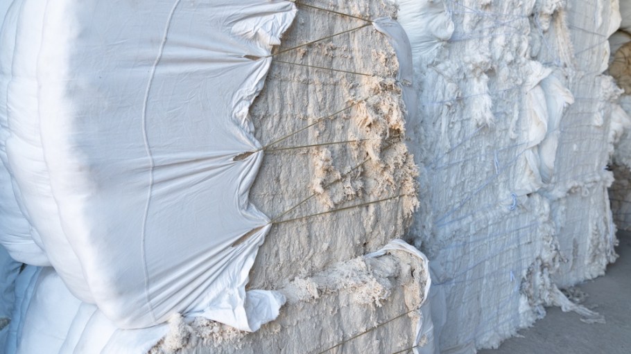 Recycled cotton