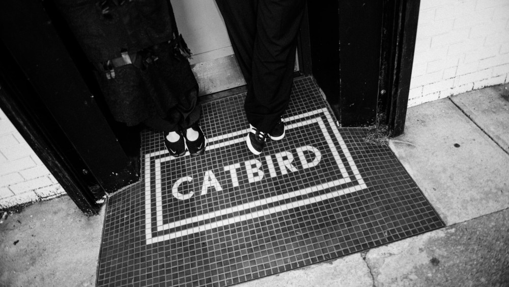 Catbird