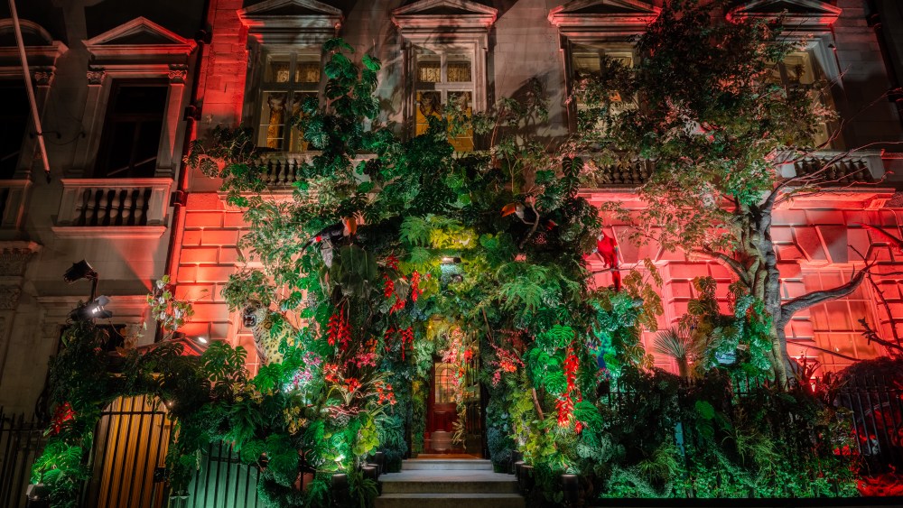 Annabel's facade for World Amazon Day