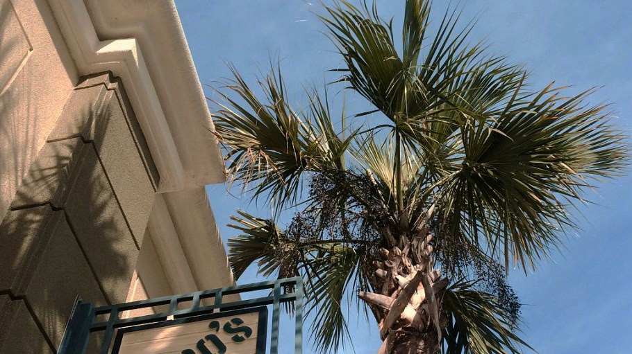 Sycamore Partners is buying Chico's FAS in a deal valued at nearly $1 billion that will close in the first calendar quarter of 2024.