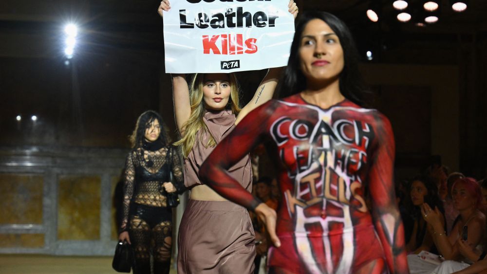 TOPSHOT - A Peta protester holds a sign reading "Coach: Leather Kills" as she demonstrates on the runway during the Coach Spring 2024 show during New York Fashion Week in New York City on September 7, 2023. (Photo by ANGELA WEISS / AFP) (Photo by ANGELA WEISS/AFP via Getty Images)