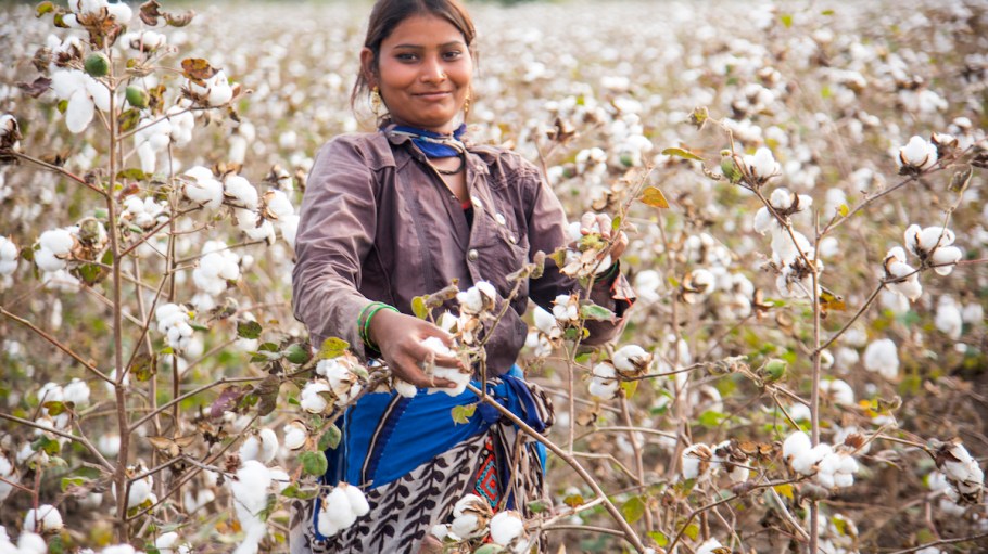Better Cotton said there are more women among its ranks in India now.