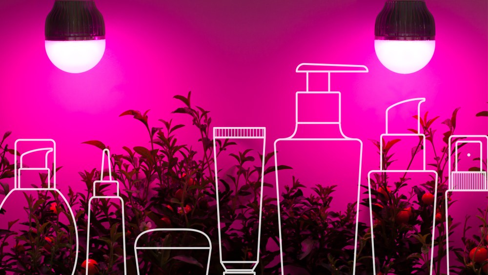What can be learned from the examples of Amyris and Naturium?