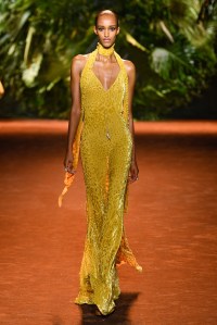 Roberto Cavalli RTW Spring 2024