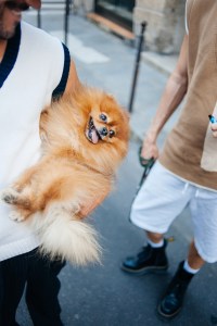 Street style at Paris Fashion Week RTW Spring 2024