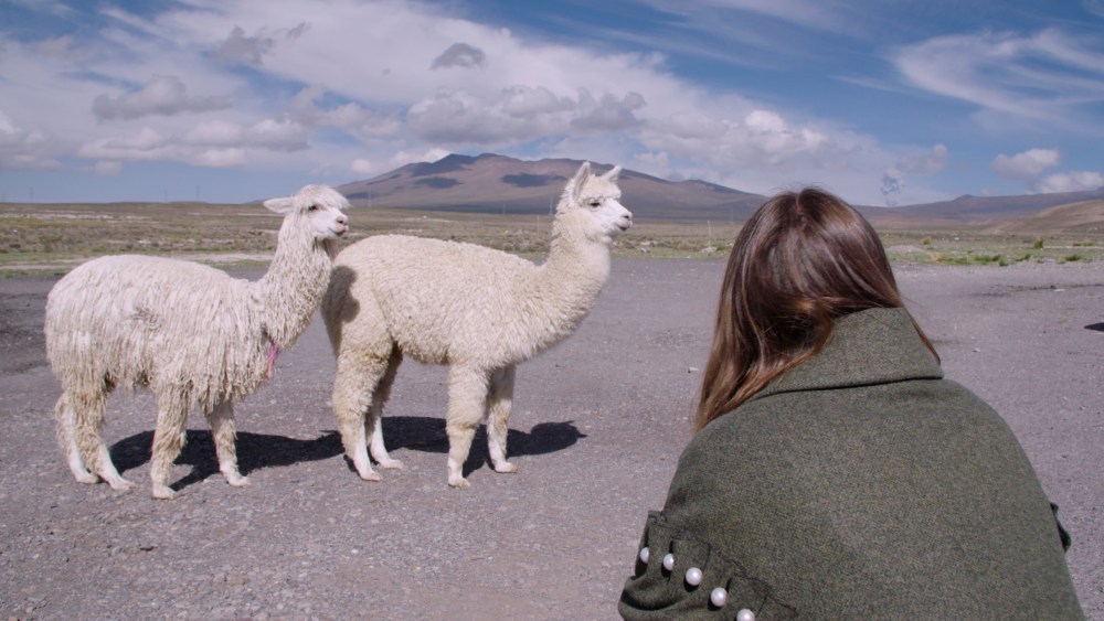 London-based Mother of Pearl designer Amy Powney stands facing a mountain setting with two white alpacas.