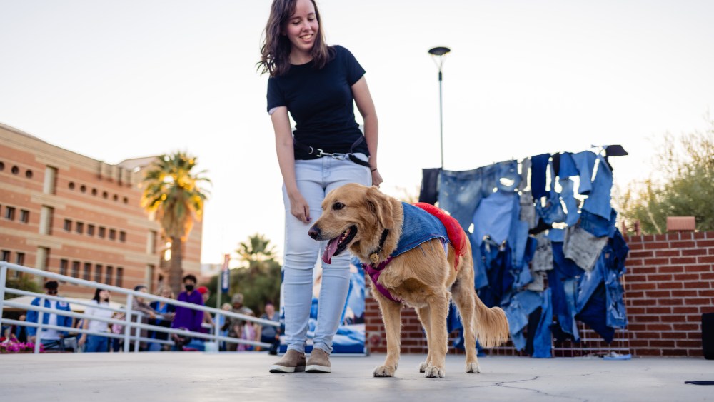 An owner walks their service dog, which is wearing upcycled denim, down the Dogs N' Denim runway at the University of Arizona.