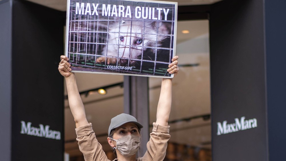 Collectif SIPE protester MaxMara fur