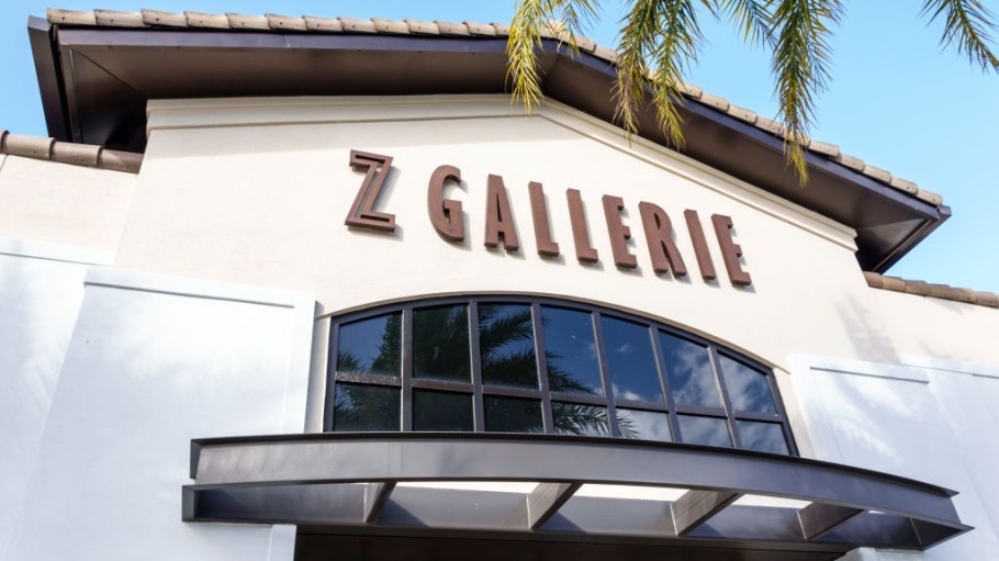 Home retailer Z Gallerie is the sixth firm in the distressed home decor sector to end up in bankruptcy court since July.