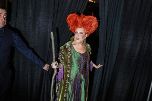 Bette Midler, Winifred Sanderson, Hocus Pocus, Halloween Party, Celebrity Halloween Costumes, Halloween Costumes Inspiration, Halloween Costumes Ideas,