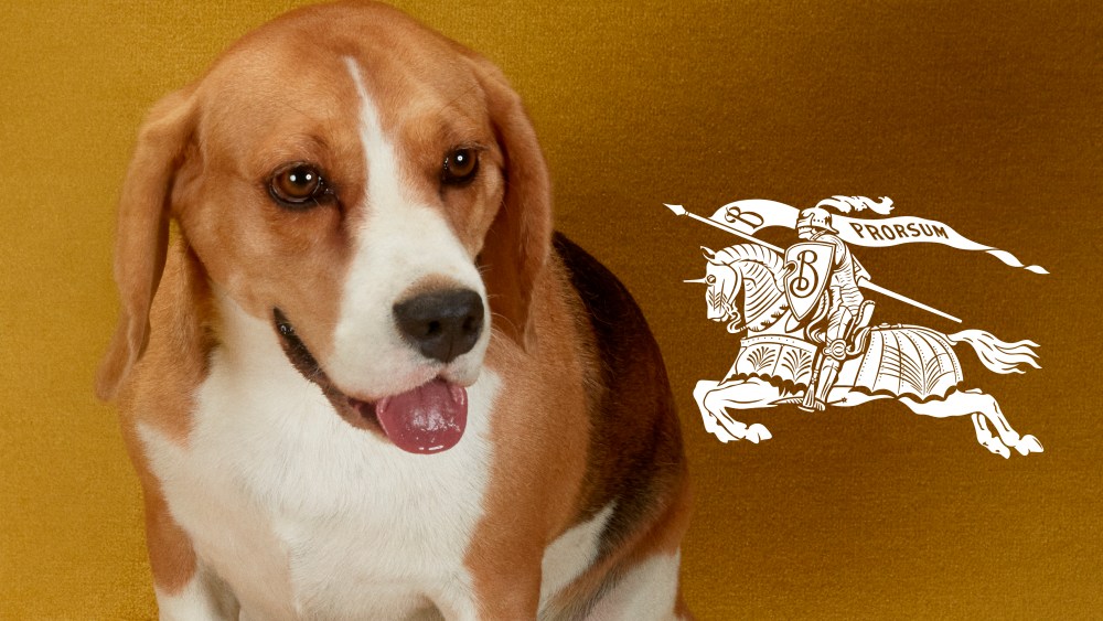 Burberry Holiday 2023