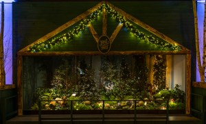 Vitrines BHV noel en foret