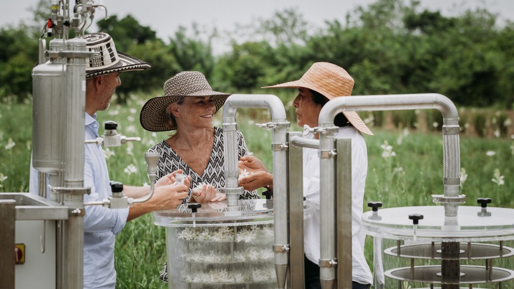 L'Oréal and Cosmo International Fragrances have partnered on an exclusive scalable green sciences-based extraction process.