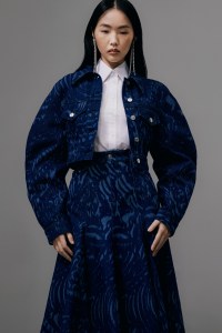 Erdem Pre-Fall 2024