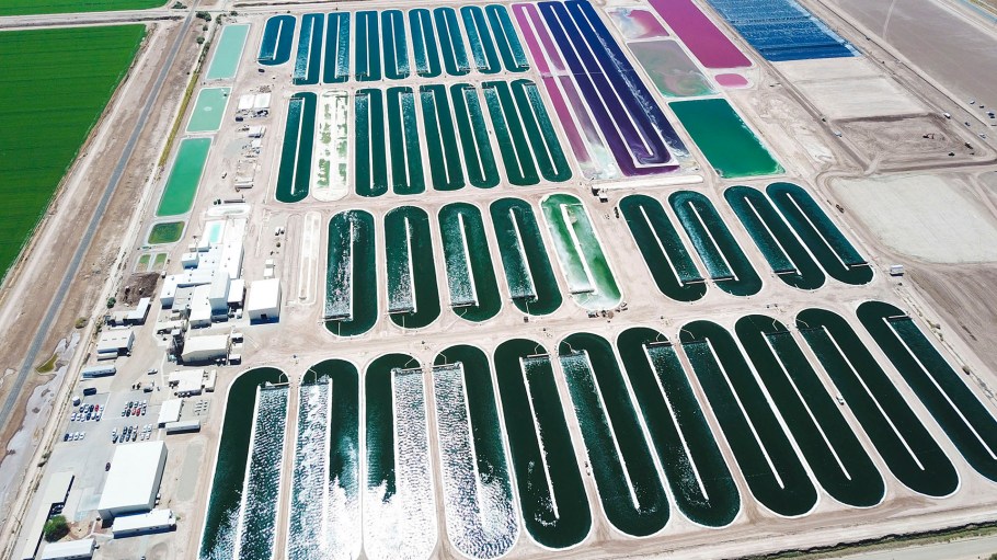 Living Ink announced this week that it secured $3.5 million to scale its flagship product, Algae Black.