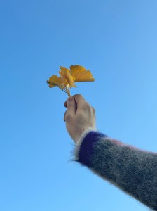 "One of my fondest memories during the holidays was a gift I received from my yoga teacher. He gave me a beautiful leaf, found that day on his walk to class. At this time of the year, it is lovely to be reminded that the most meaningful and powerful gifts are the simplest ones." - Henry Zankov, Zankov