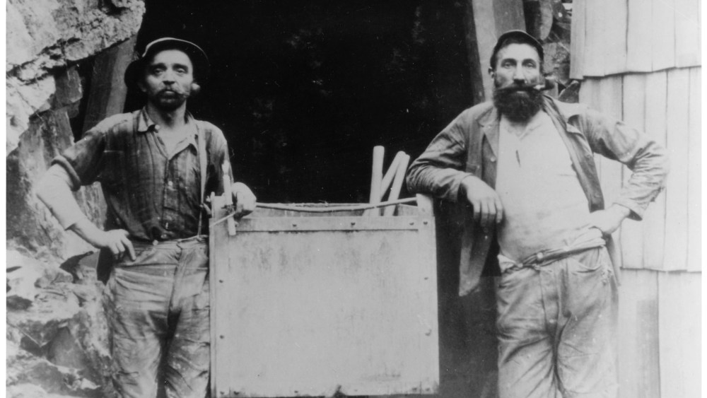 The Levi's 501 served as the blueprint for the jean industry, helping drive it from workwear to everywhere.