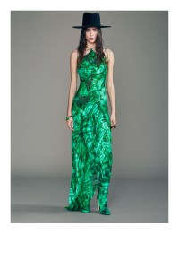 Roberto Cavalli Pre-Fall 2024