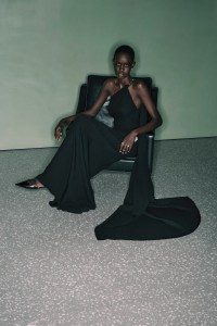 Valentino Pre-Fall 2024