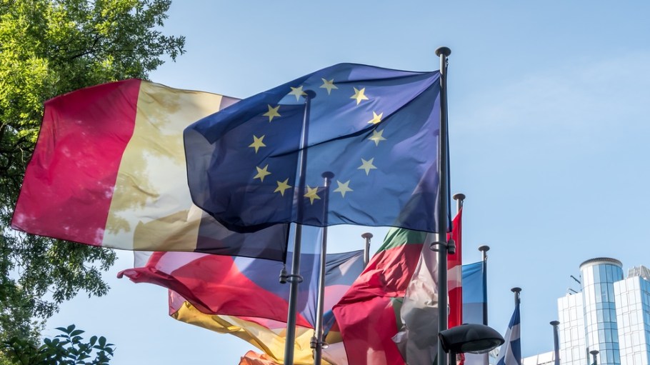 EU flags