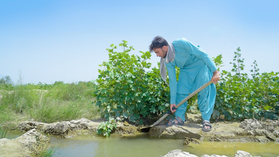 A new initiative by the Organic Cotton Accelerator (OCA) provides the best possible guidance on organic agronomic practices in Pakistan.
