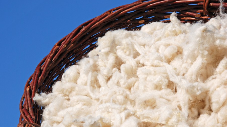 Fibers.