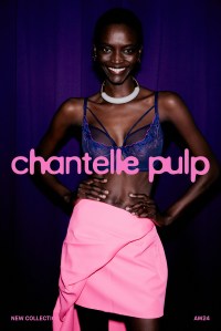 A visual for Chantelle Pulp.
