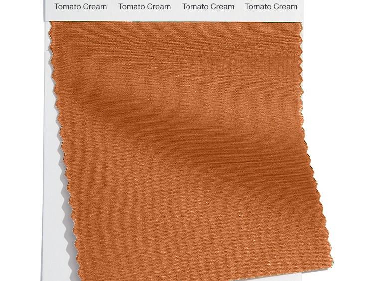 Tomato Cream 16-1348