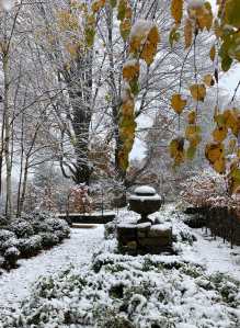 "Colors of a Winter garden." — Adam Lippes