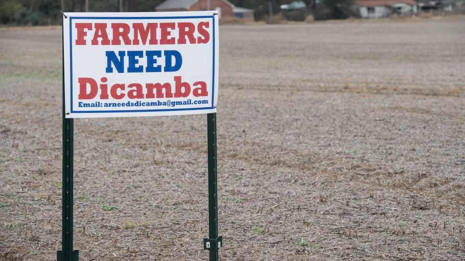 A sign reading "Farmers Need Dicamba" stands in a field in Gregory, Arkansas.