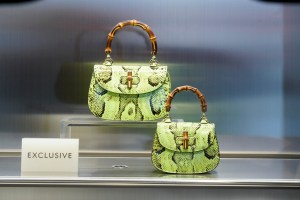 Gucci Ancora Store