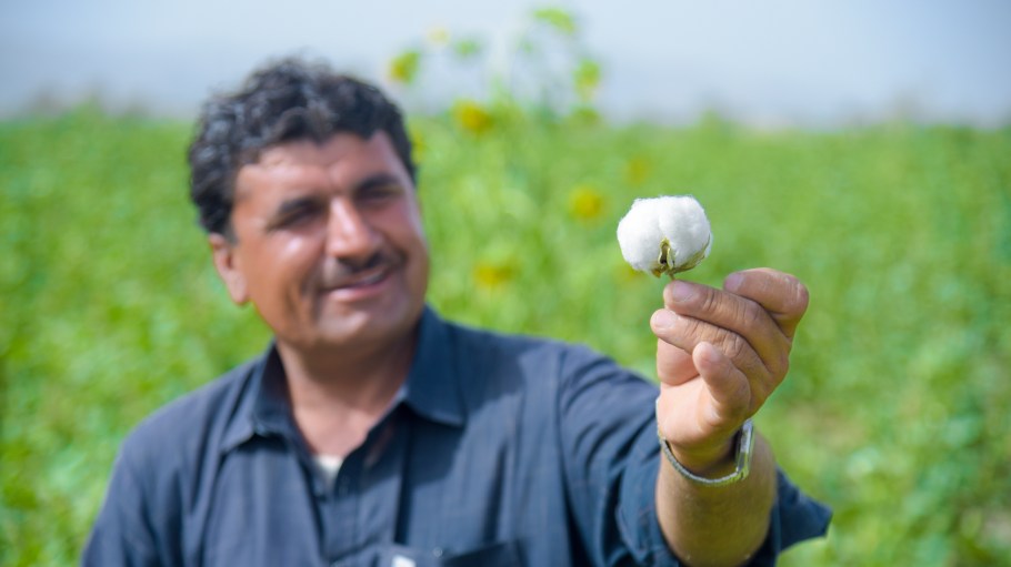 Pakistan is eyeing more organic cotton.